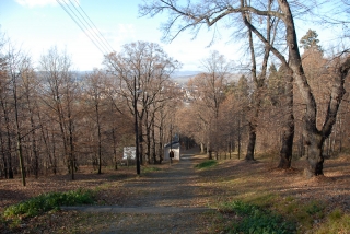 2011-11-28-cvilin-20