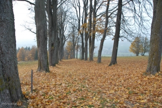 2012-10-22-kraliky-v-27