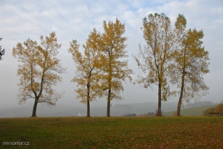 2012-10-22-kraliky-v-28