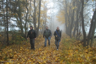 2012-10-22-kraliky-v-33